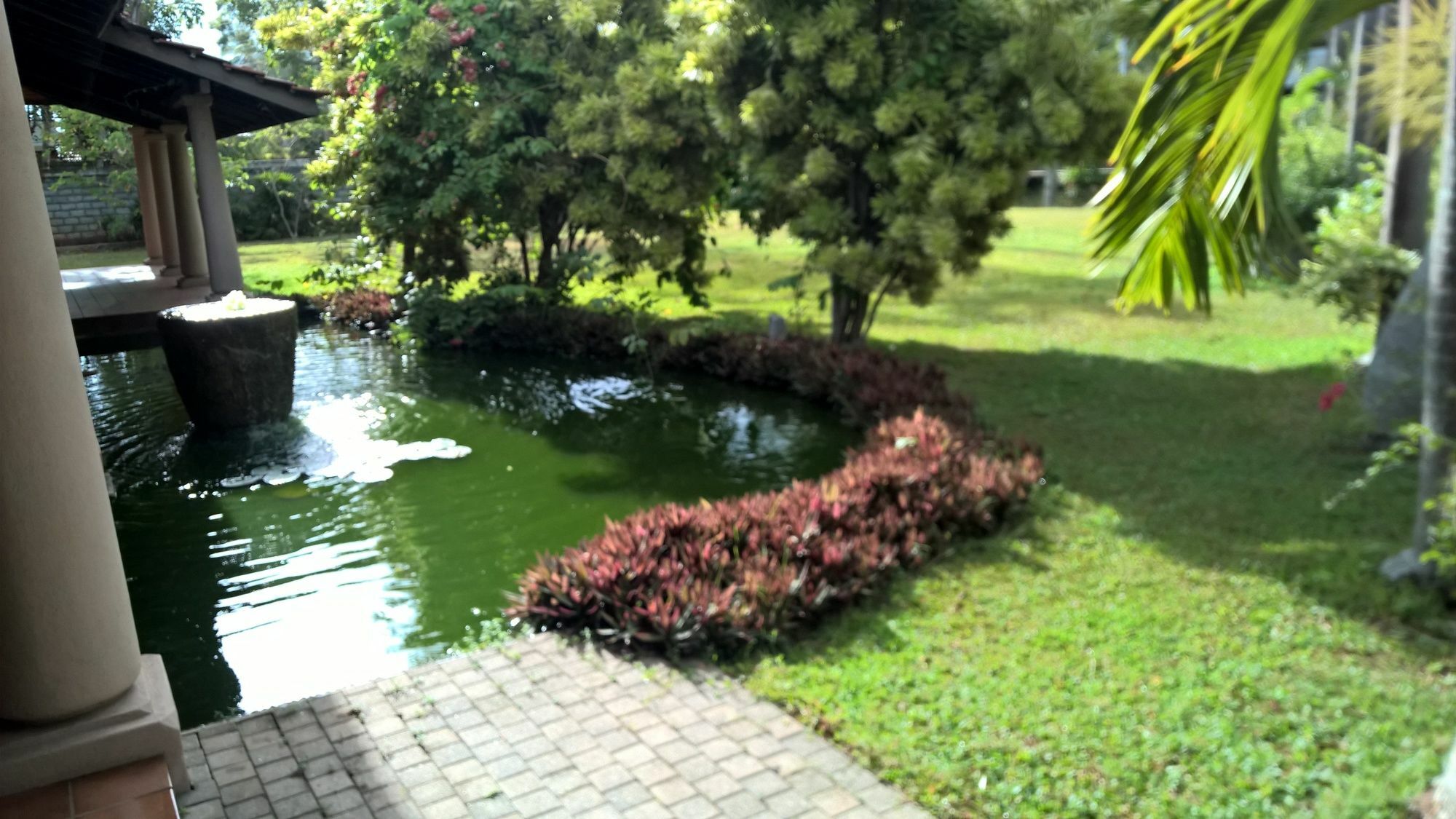 Tropical Villas Negombo Ngoại thất bức ảnh