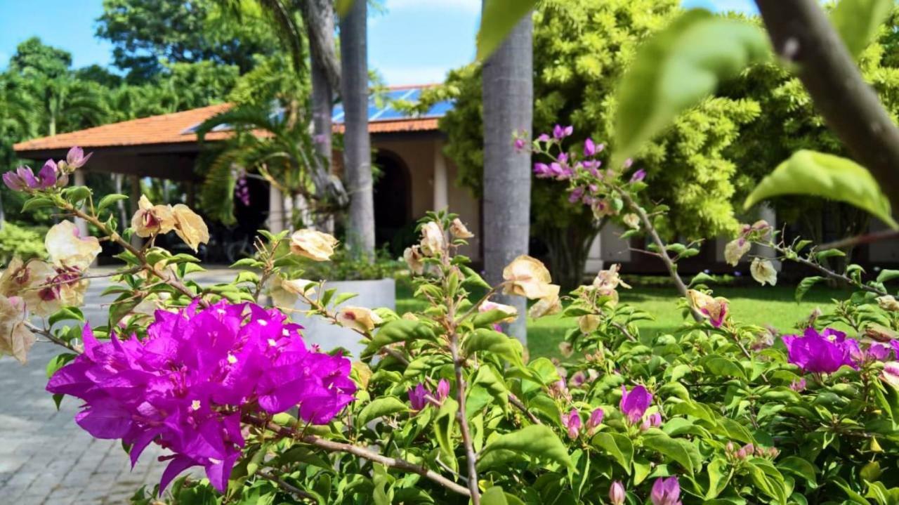 Tropical Villas Negombo Ngoại thất bức ảnh