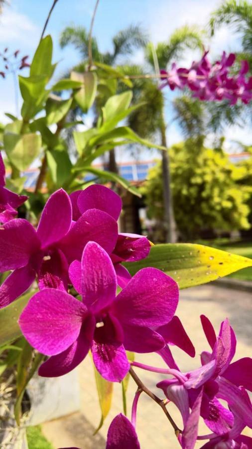 Tropical Villas Negombo Ngoại thất bức ảnh